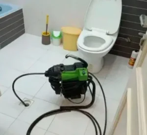 lole-d1-demo (1)_11zon