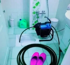 lole-d1-demo (2)_11zon