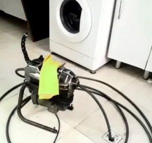 lole-d1-demo (3)_11zon