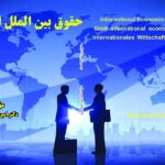 دکترامین امینی زارع وکیل ( تجارت ، شرکت ، مهاجرت )