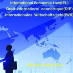 دکترامین امینی زارع وکیل ( تجارت ، شرکت ، مهاجرت )