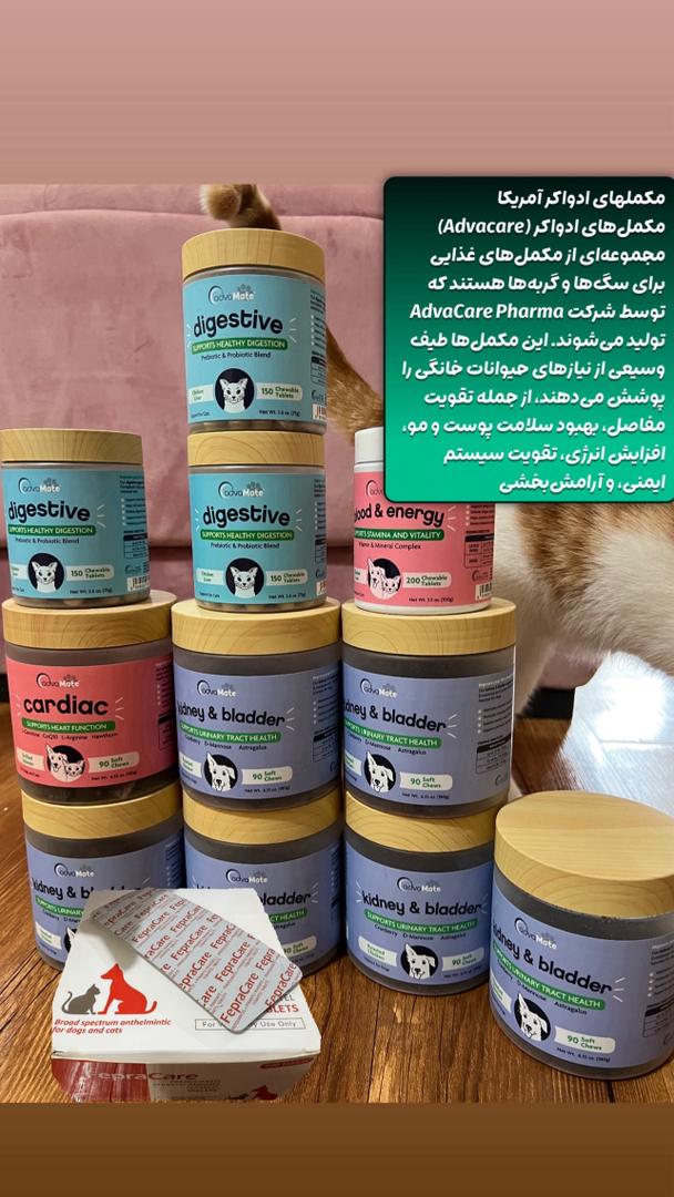 فروش غذای حیوانات در رشت