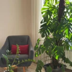 سالن ماساژ بانوان گلسار رشت