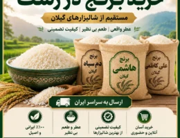 خرید برنج در رشت