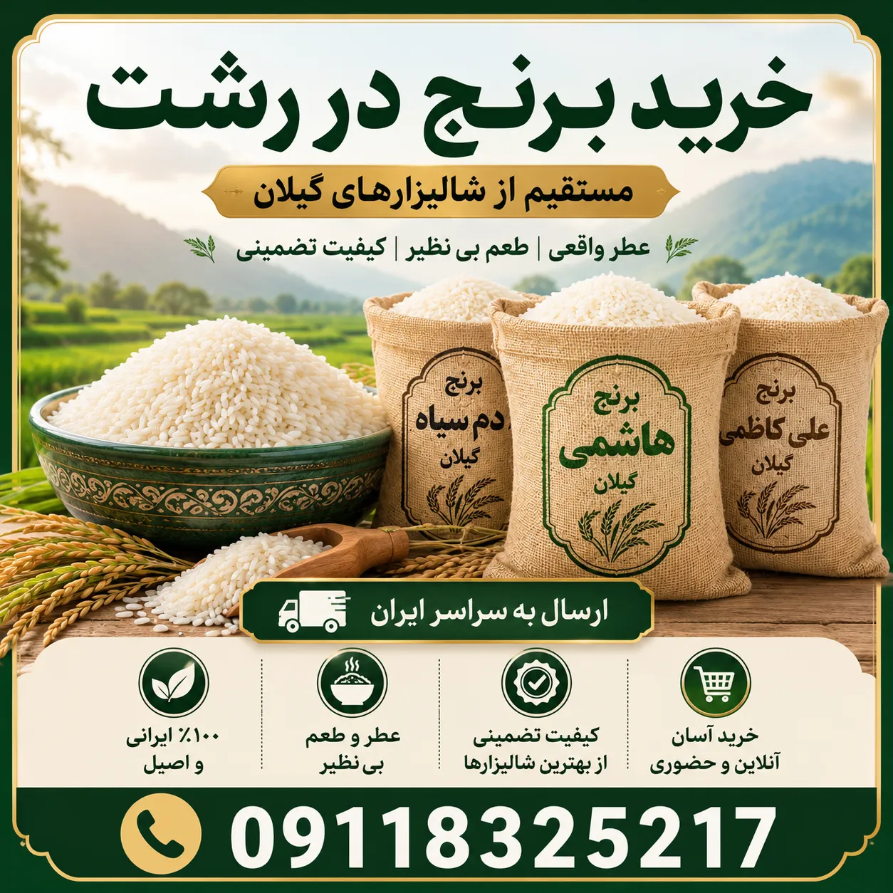 خرید برنج در رشت
