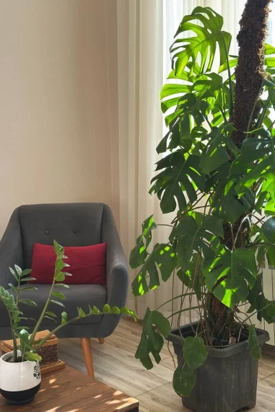 salon-masaj-golsar (2)